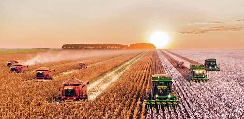 Μείωση της τιμής πετρελαίου και ενίσχυση ζητούν οι σιτοπαραγωγοί