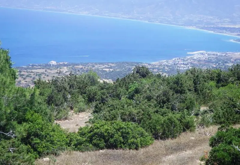 Ανοίγουν οι αιτήσεις για τα αντισταθμιστικά μέτρα στον Ακάμα - Έως €6.600 τον χρόνο για ιδιοκτήτες γης