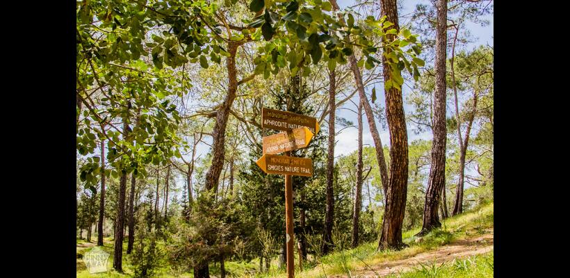 Η Κύπρος στις επιλογές του Travel + Leisure με διαφορετικό «διαβατήριο»
