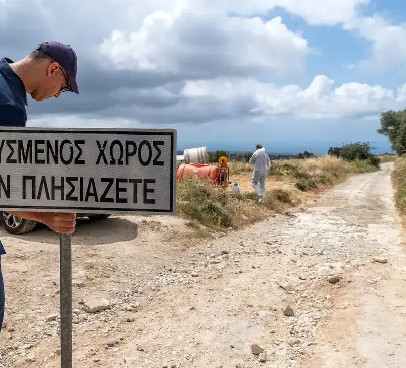 «Μεγάλο φιάσκο» οι διαδικασίες δειγματοληψίας στην Πάχνα λένε οι κτηνοτρόφοι