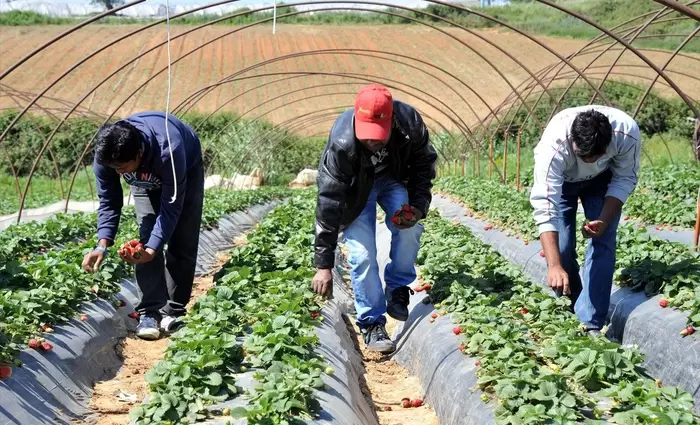 Ελλάδα: Έρχονται ακόμη 32.517 εργαζόμενοι από τρίτες χώρες