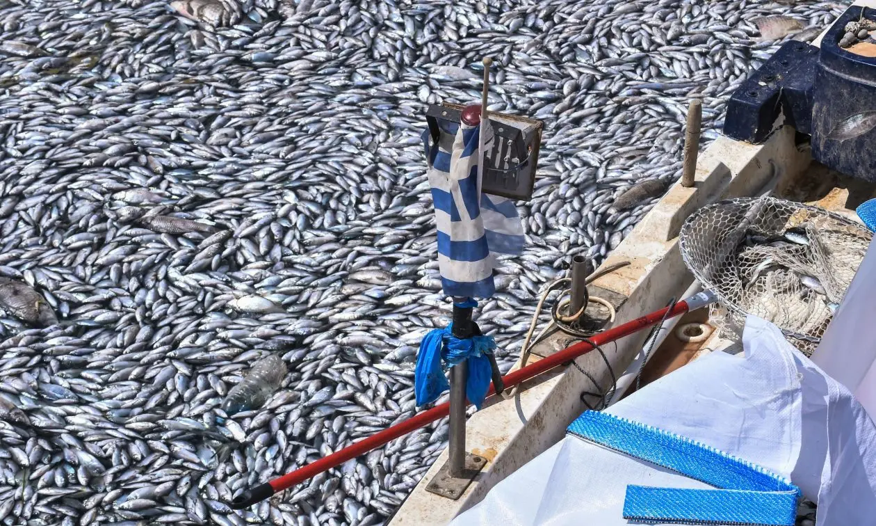 SPIEGEL: Ποιος φταίει τελικά για την καταστροφή στον Βόλο;