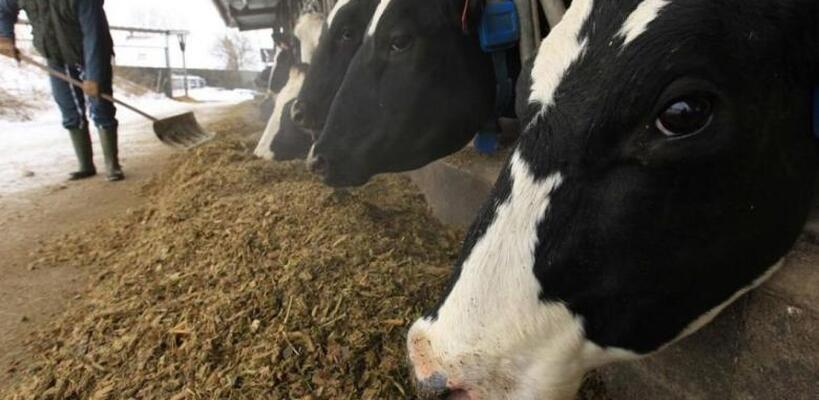 Κατάφερε να «ηρεμήσει» τους αγελαδοτόφους ο Υπ. Εμπορίου αγοράζοντας χρόνο