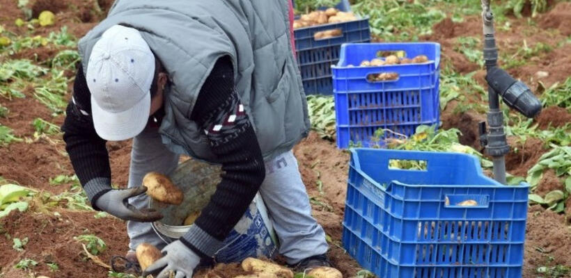 ΠΕΟ: Προωθείτε τις θέσεις των εργοδοτών για εργάτες από τρίτες χώρες