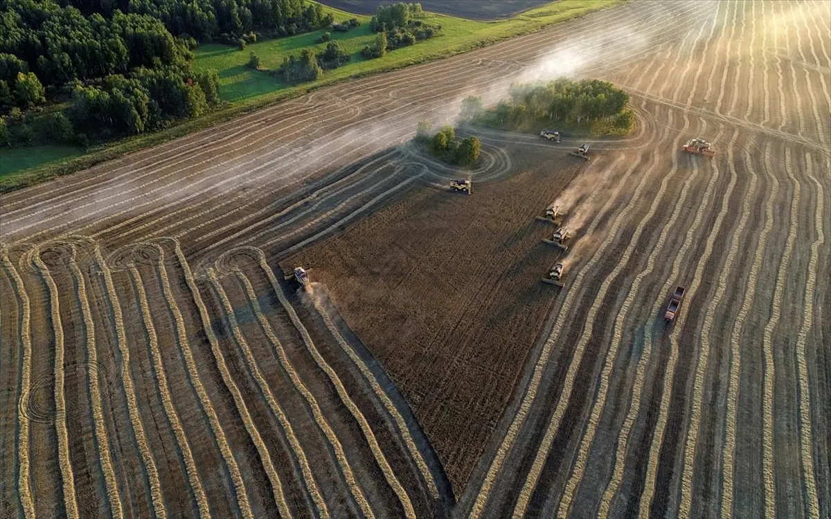 Η Τουρκία καταγγέλλεται για αγορά κλεμμένων σιτηρών από τη Ρωσία