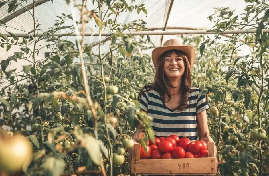 Ελλάδα: Χρηματοδότηση €68,8 εκατ. στους νέους αγρότες