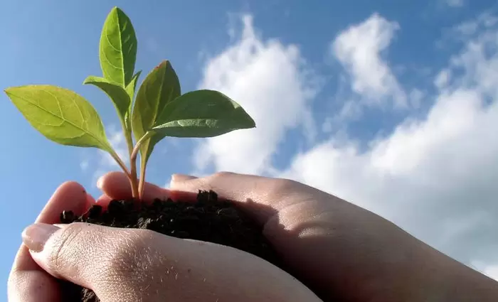  Εναλλακτικά Επενδυτικά Ταμεία: Εργαλείο για την ανάπτυξη