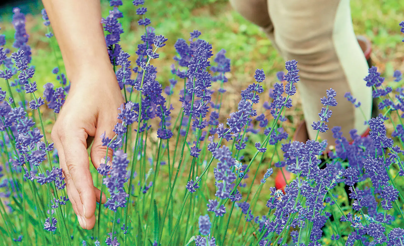Ο Δήμος Ιωαννίνων δίνει στους άνεργους γη για να καλλιεργήσουν