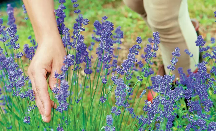 Ο Δήμος Ιωαννίνων δίνει στους άνεργους γη για να καλλιεργήσουν