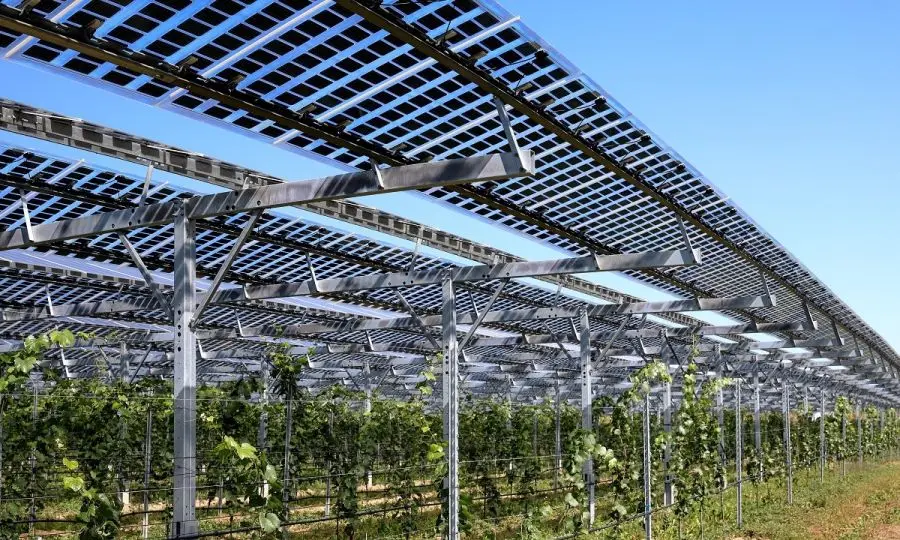 Τα αγροφωτοβολταϊκά ως όπλο στη φαρέτρα για την αγροτική ενέργεια