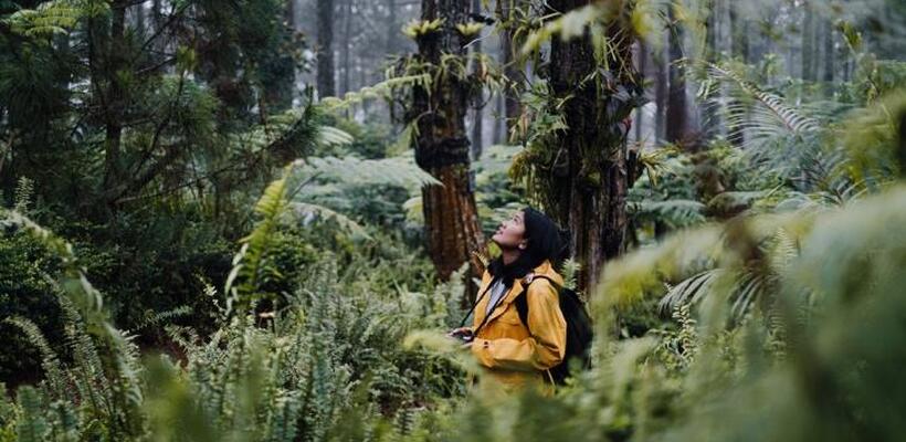 Η νέα Οδηγία CSRD θέτει τη βιωσιμότητα στα ορθά πλαίσια