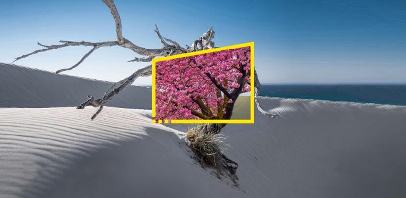 Έρευνα ΕΥ: Οι CEOs ξέρουν ότι έχει ξεκινήσει ο εκσυγχρονισμός των επιχειρήσεων