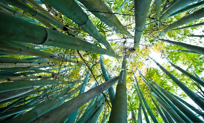 Πως θα χαραχθεί μακροπρόθεσμη ενεργειακή στρατηγική;