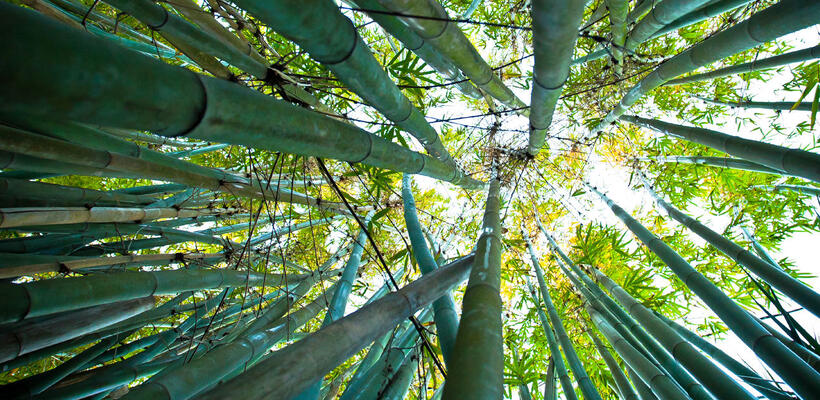 Πως θα χαραχθεί μακροπρόθεσμη ενεργειακή στρατηγική;