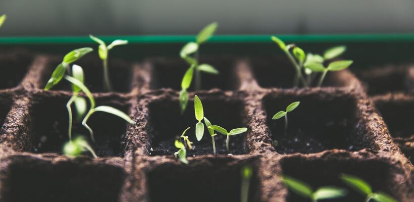 Ποιότητα: Η παράμετρος που παραγνωρίζουμε - Μέρος B΄