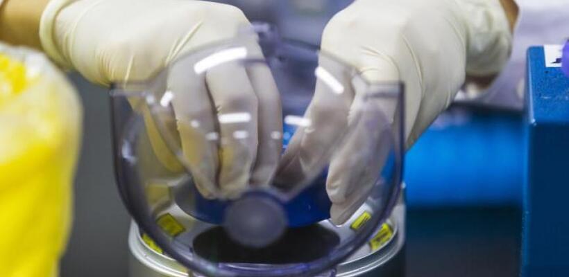 Εταιρική Συμφωνία Συνεργασίας Cyprus Seeds με MITEF Greece