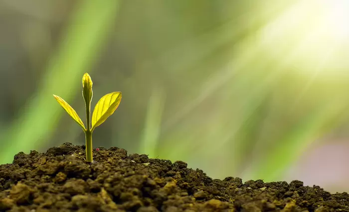 Ο ρόλος της πράσινης χρηματοδότησης για επίτευξη των στόχων της βιώσιμης ανάπτυξης