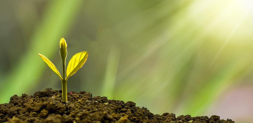 Ο ρόλος της πράσινης χρηματοδότησης για επίτευξη των στόχων της βιώσιμης ανάπτυξης