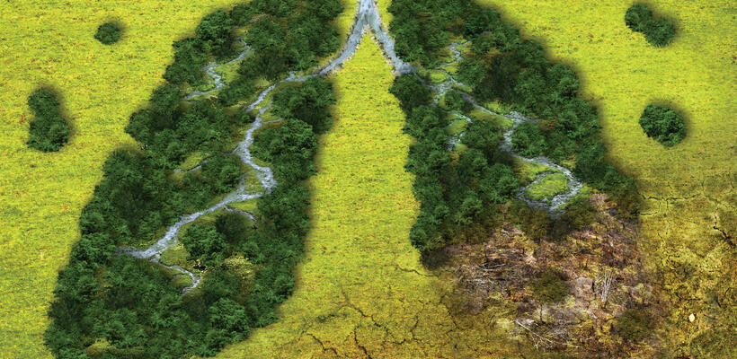 BACK TO THE FUTURE: Βιώσιμη ανάπτυξη και κλιματική κρίση