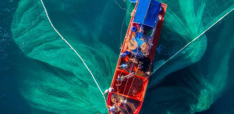 Τα οικονομικά της αλιείας στην Κύπρο