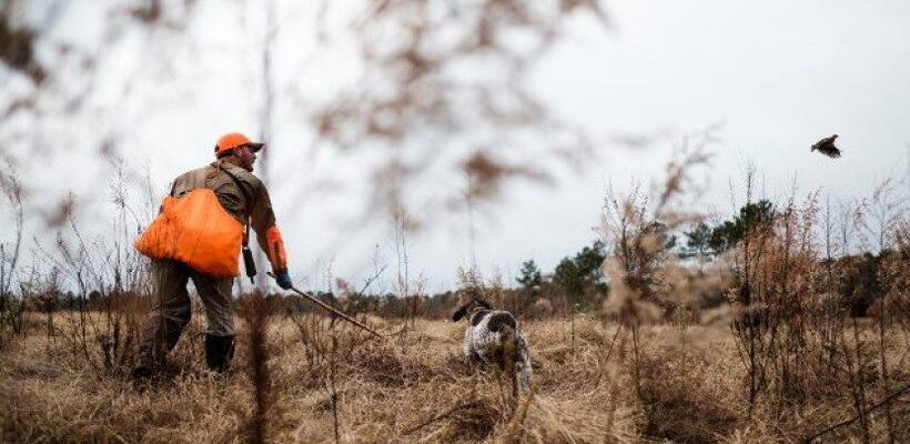 Πρόστιμο μέχρι €50.000 για άναμμα φωτιάς