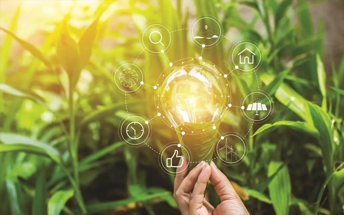 Επενδύει στο «πράσινο» ο αιγυπτιακός ιδιωτικός τομέας