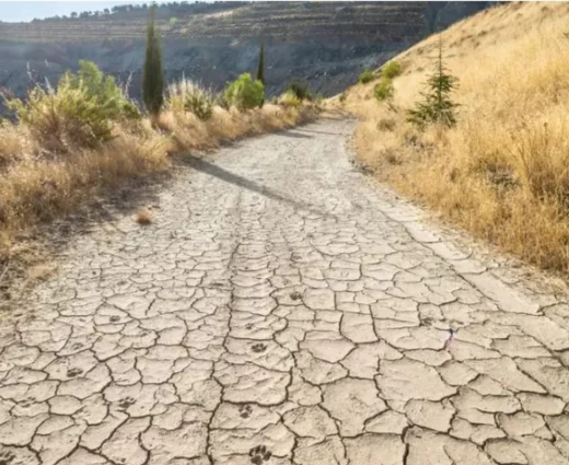 €4,6 εκατ. στους αγρότες που επλήγησαν από την ανομβρία του 2025