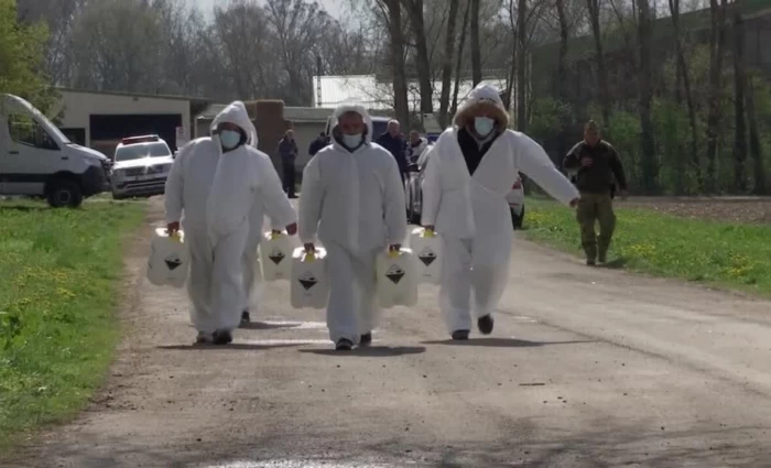 Αφθώδης Πυρετός: Δεν σταματούν οι θανατώσεις ζώων - Στο «κόκκινο» οι κτηνοτρόφοι