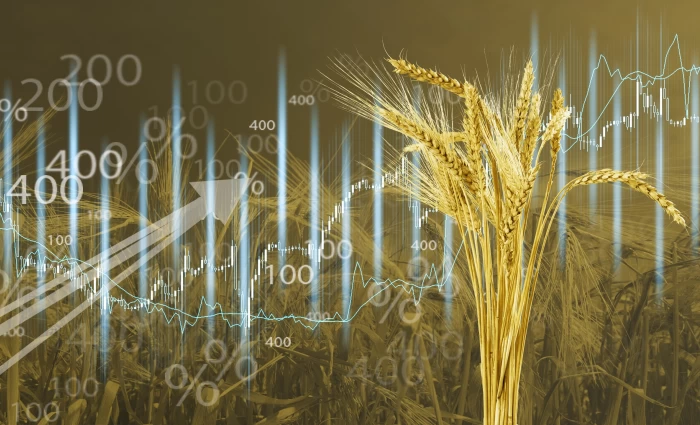 Σιτάρι: Άνοδος στα futures λόγω αβεβαιότητας για την εκεχειρία στη Μέση Ανατολή