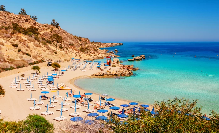 Πρόεδρος ACCTA: «Η χρονιά θα κλείσει με σημαντικό, αλλά όχι καταστροφικό, αρνητικό πρόσημο»
