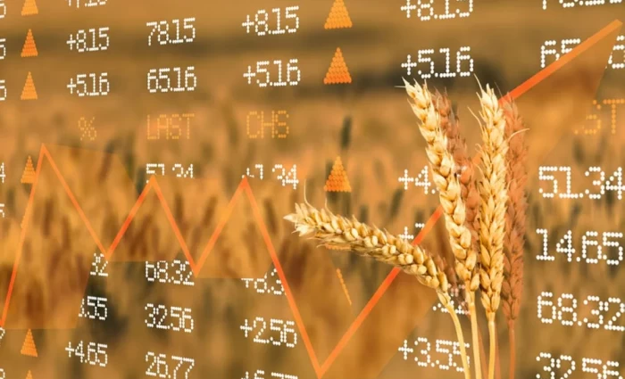 Το σιτάρι σε υψηλό τριετίας – Φόβοι για εκτόξευση των τιμών