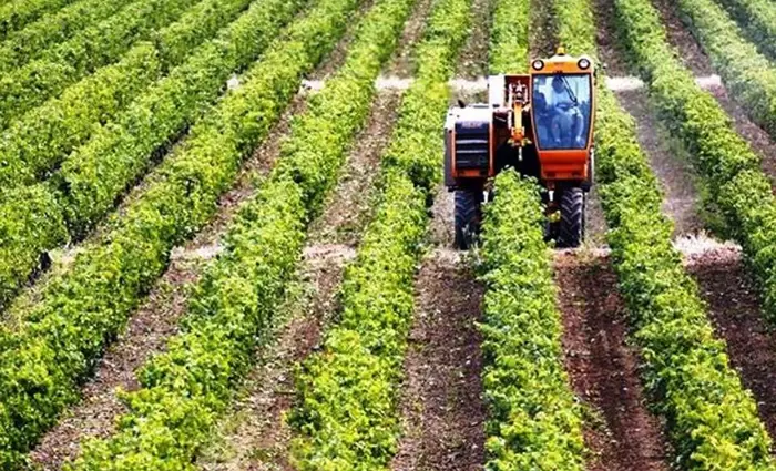 ΕΕ και ΠΟΕ δεσμεύτηκαν για ανοιχτό εμπόριο γεωργικών προϊόντων
