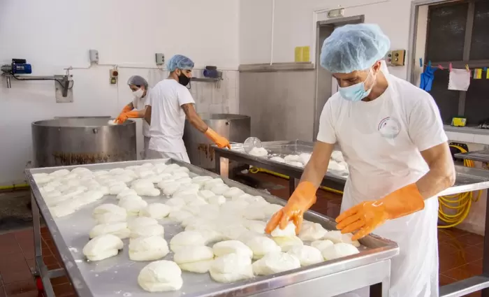 Πόσο γάλα για χαλλούμι έρχεται από τα κατεχόμενα; (ΒΙΝΤΕΟ)