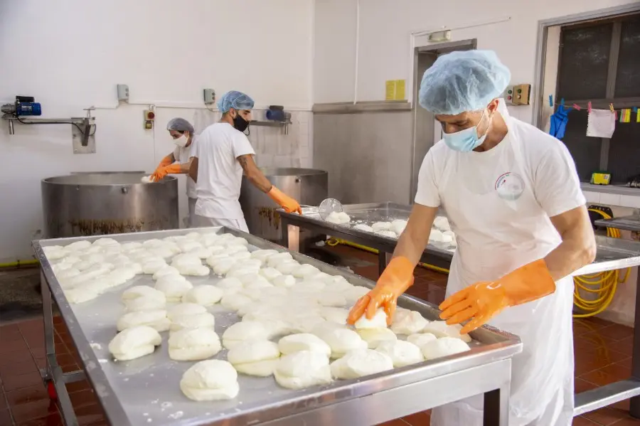 Πόσο γάλα για χαλλούμι έρχεται από τα κατεχόμενα; (ΒΙΝΤΕΟ)