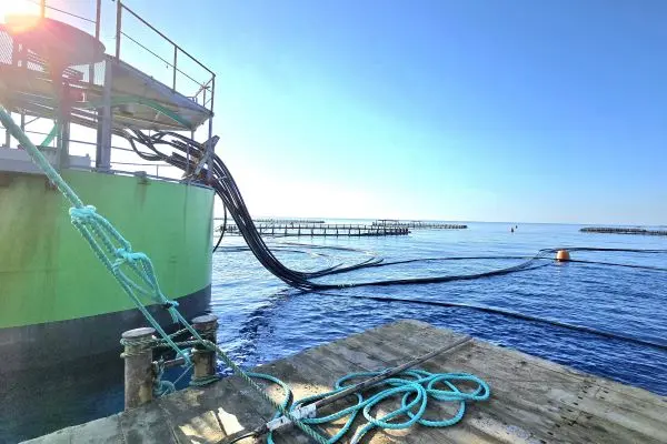 Εγκαινιάστηκαν πλωτές κατασκευές για ιχθυοκαλλιέργεια