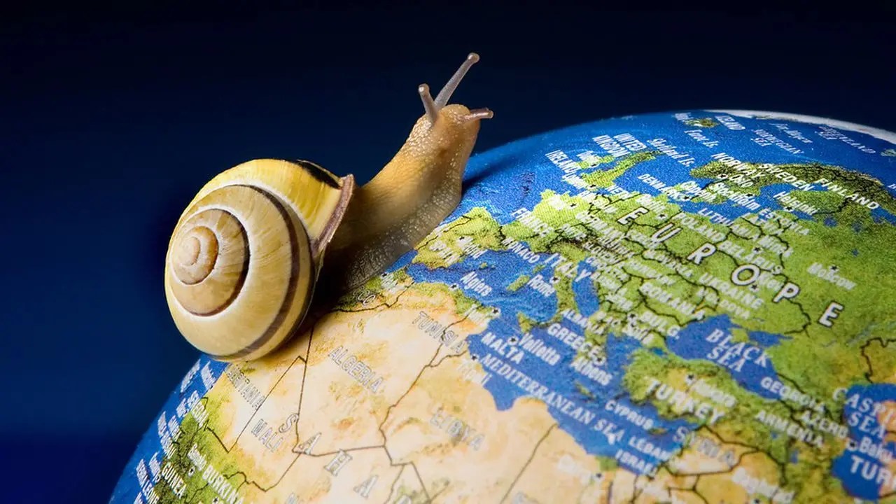 PwC: Χρονιά «slowbalisation» το 2020 για την παγκόσμια οικονομία