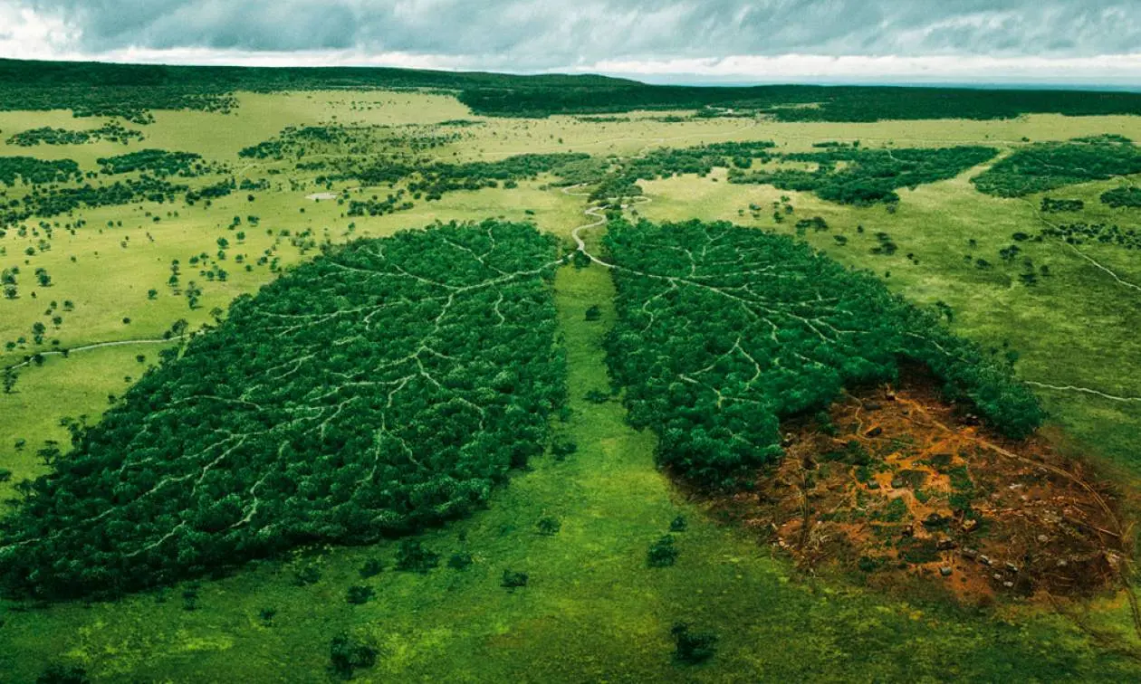 FT: Οι τρεις κινήσεις 