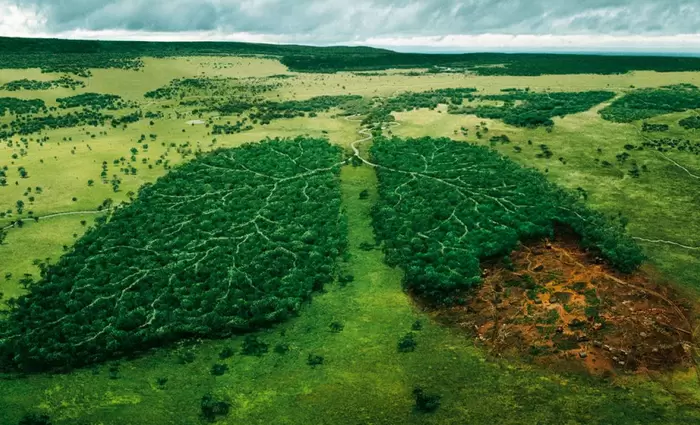 FT: Οι τρεις κινήσεις 