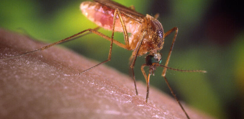 Application σε ενημερώνει ότι έρχεται κουνούπι