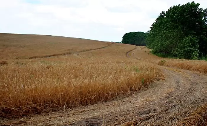 Αύξηση 68% στο ψωμί στη Βουλγαρία