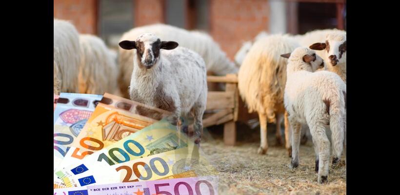 Πράσινο φως από το Υπουργικό για αποζημιώσεις €35,6 εκατ. στους κτηνοτρόφους