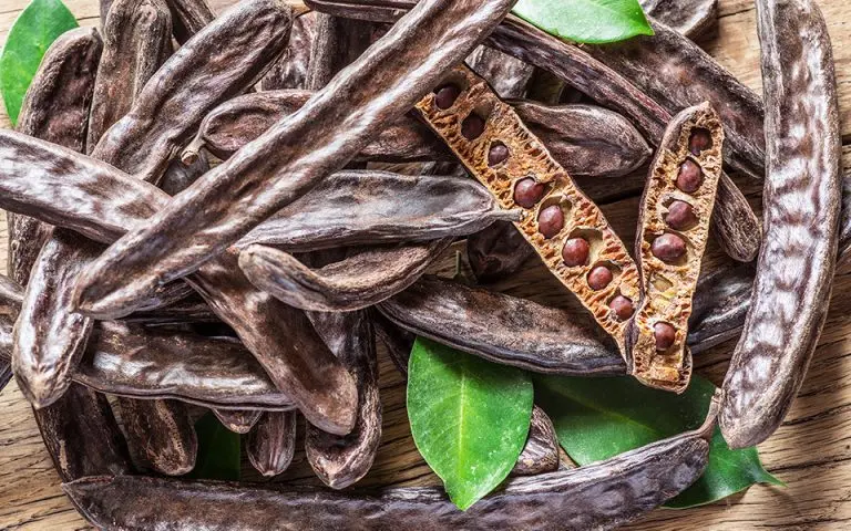 Ημερίδα Ινστιτούτου Γεωργικών Ερευνών για τον κυπριακό 