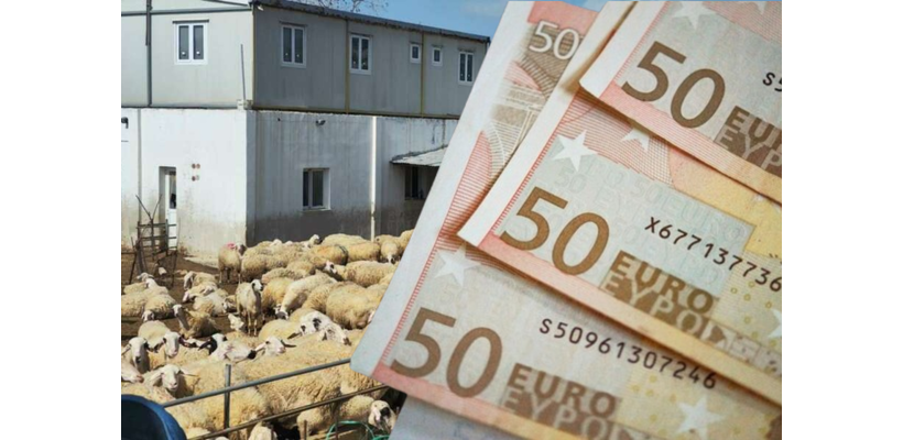 Διευκρινίσεις για τις αποζημιώσεις των κτηνοτρόφων - Πάνω από €35,6 εκατ. για στήριξη και ανασυγκρότηση