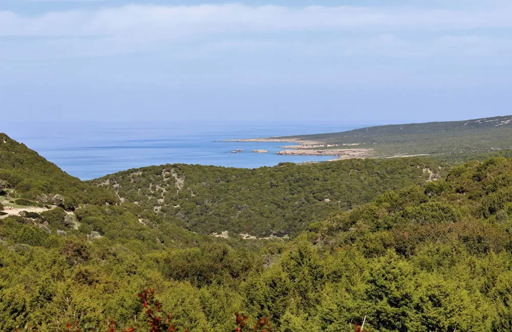 €1,27 εκατ. για έργα που προστατεύουν και αναδεικνύουν τα δάση της Κύπρου