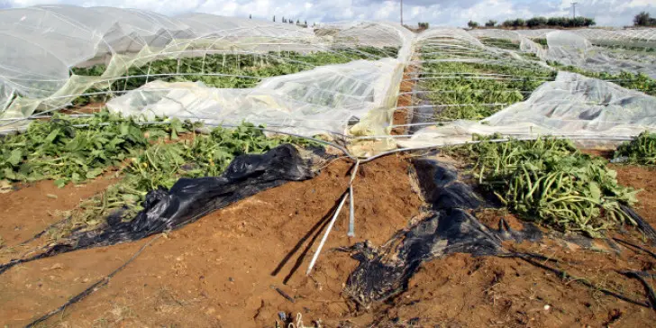 €2,5 εκ. για αποζημιώσεις σε αγρότες ενέκρινε το Υπουργικό Συμβούλιο