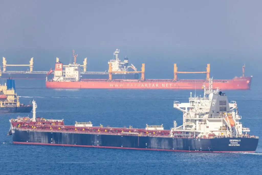 Για τη συμφωνία ουκρανικών σιτηρών συζήτησαν Μπλίνκεν και Τσαβούσογλου