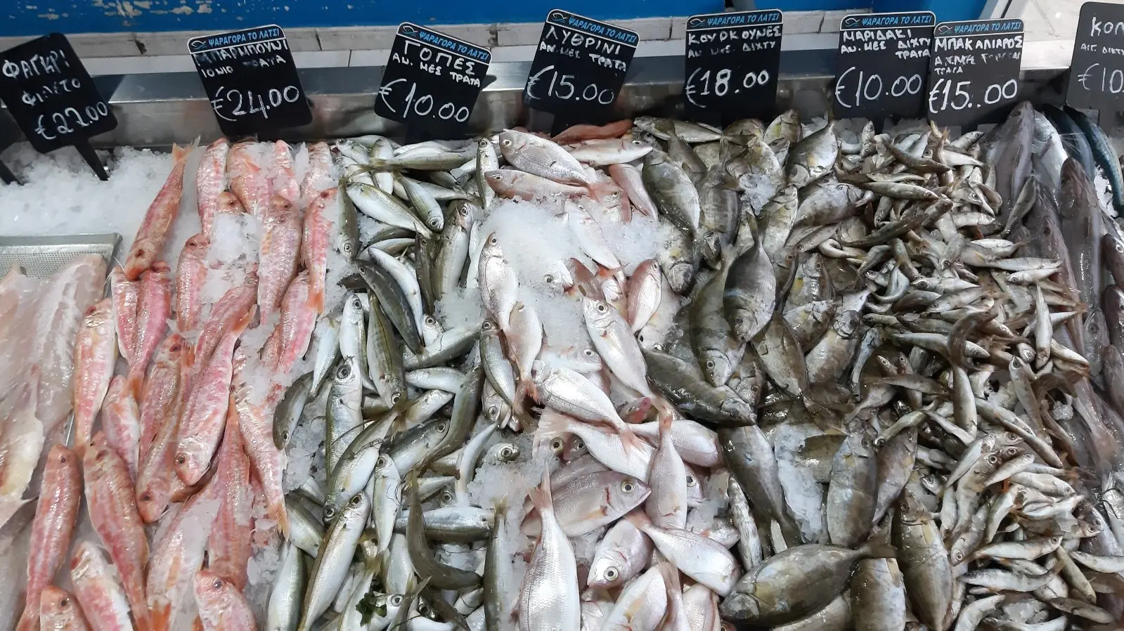 Τι επηρεάζει και πώς αναμένονται οι τιμές για τα ψάρια της 25ης Μαρτίου