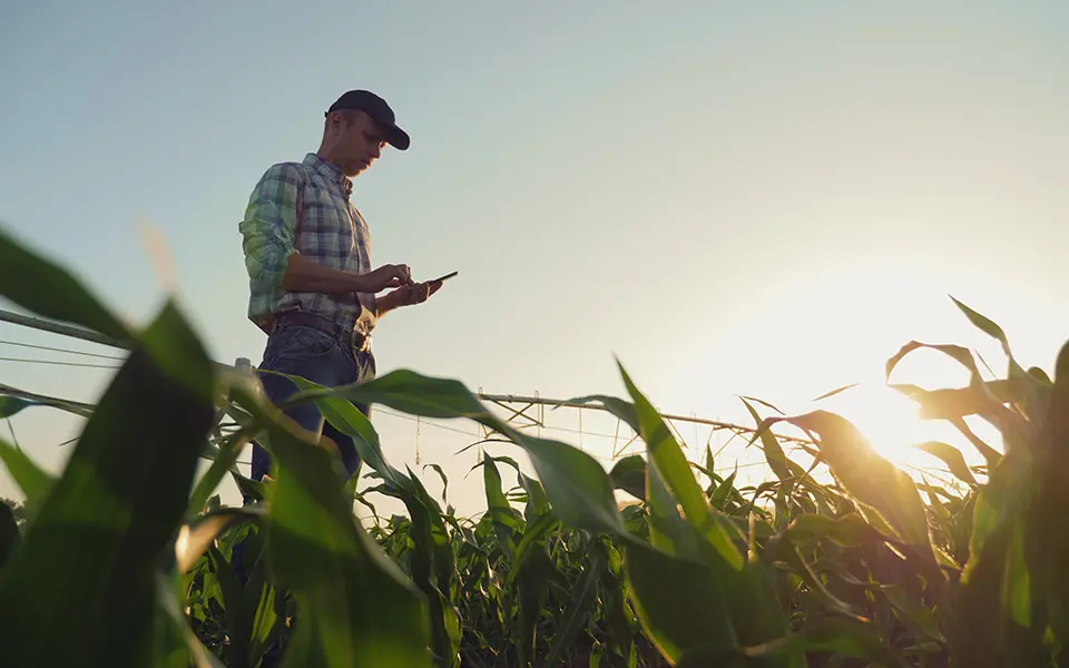 Ο πρωτογενής τομέας στην Κύπρο