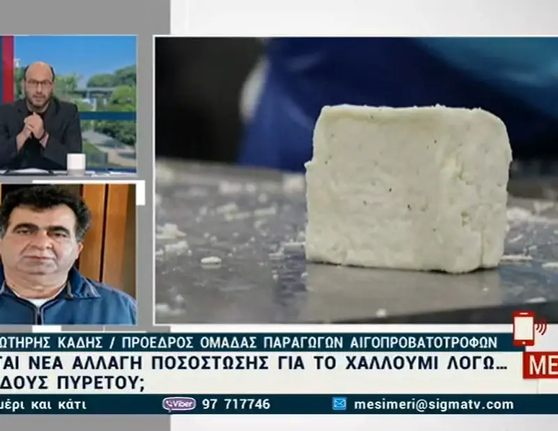 Ανησυχία για την ποσόστωση στο χαλλούμι - Τι λένε οι αιγοπροβατοτρόφοι