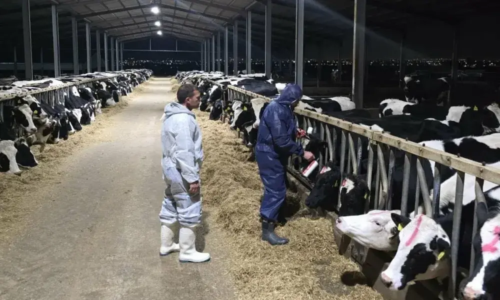 Αφθώδης πυρετός: Επιπτώσεις και μέτρα στο επίκεντρο συνάντησης ΚΟΑΠ - Στ. Μαλά